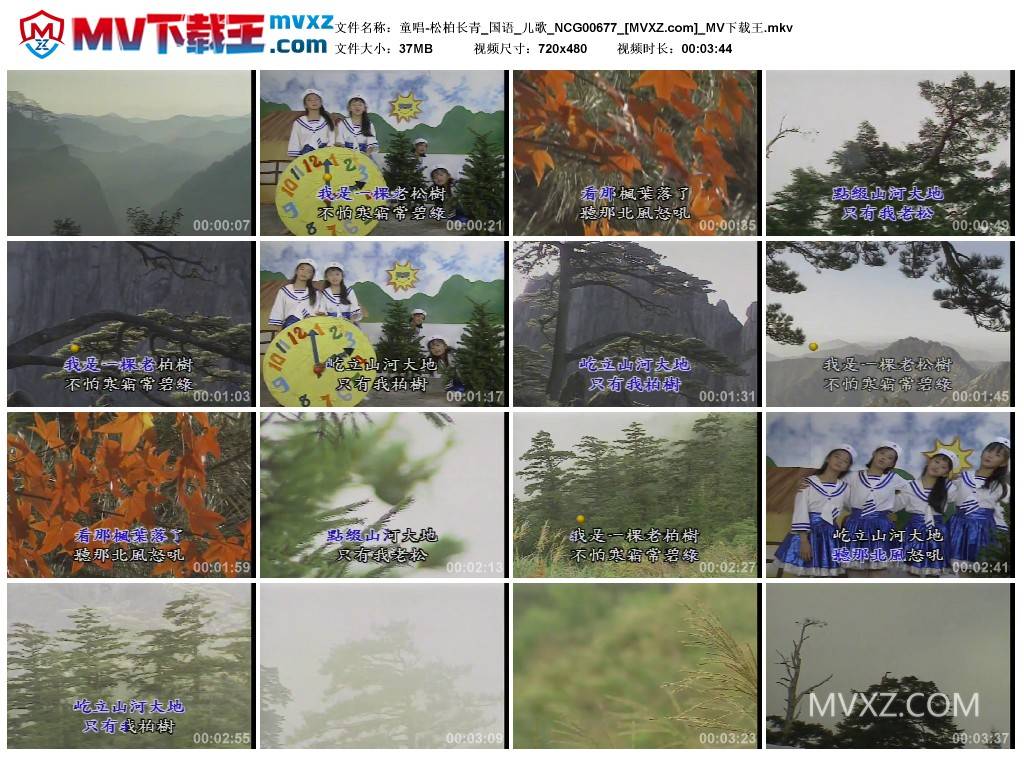 童唱-松柏长青_国语_儿歌_NCG00677